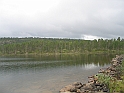 Obraz 221